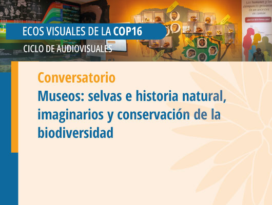 Conversatorio. Museos