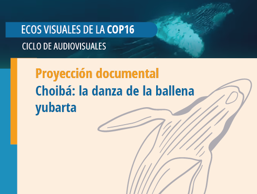 ecos-visuales-cop_choiba