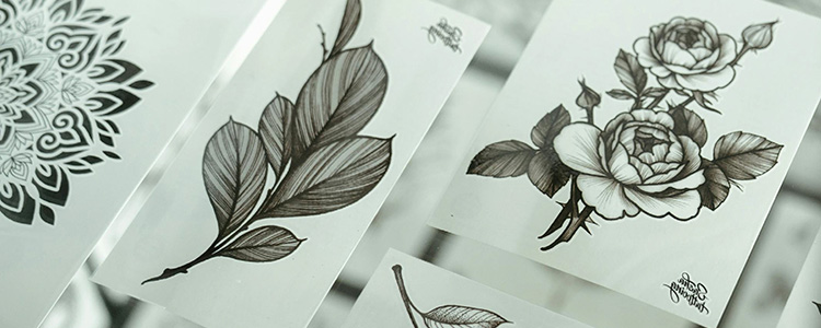 Ilustración Botanica con Tinta
