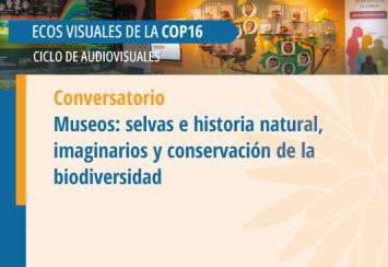 Conversatorio. Museos